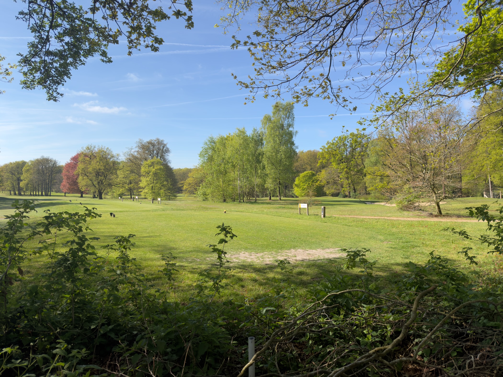Open fairway of the golf course seen through the trees