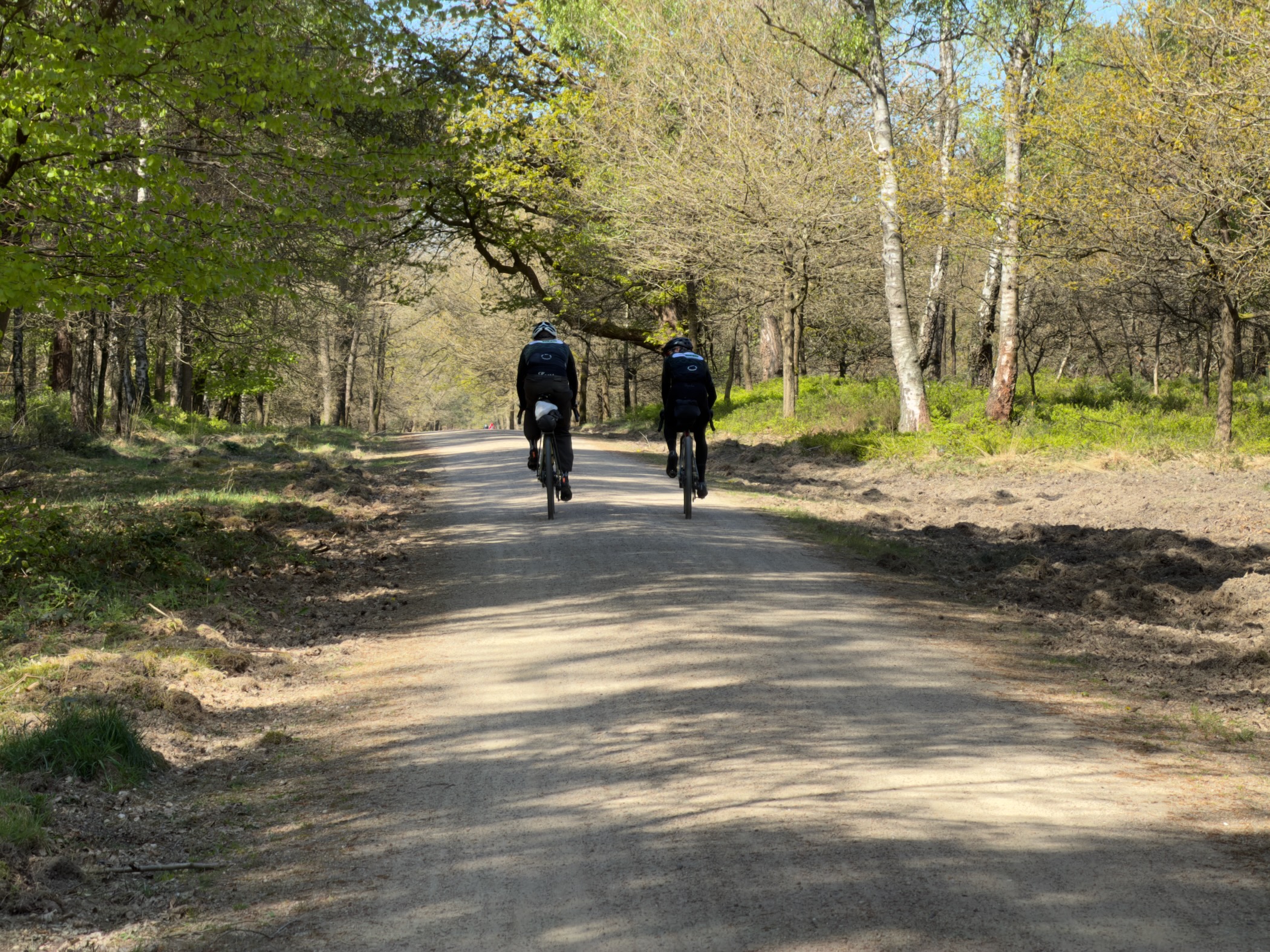 Two cyclists riding away down a wide forest track