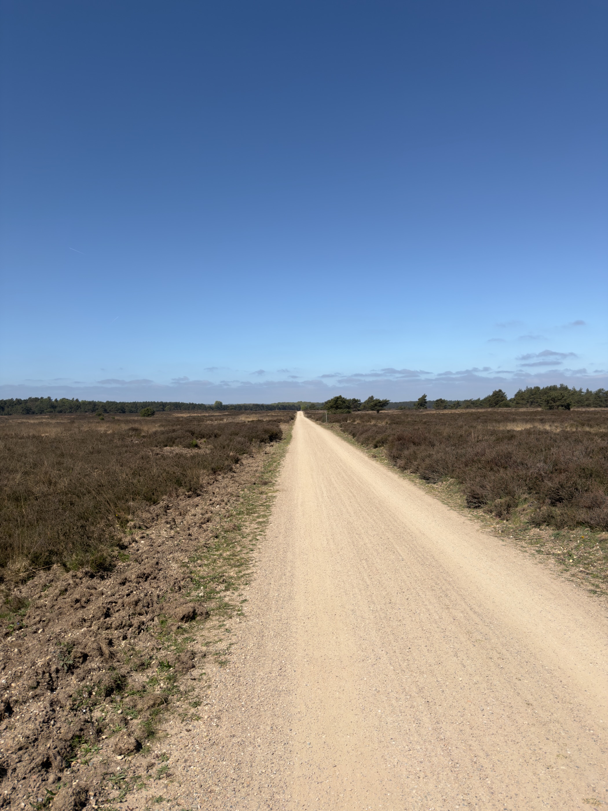Long sand track running straight across open heathland