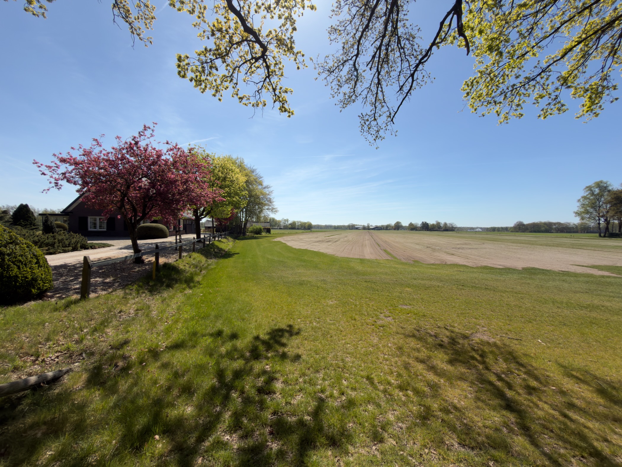 Farmhouse with a blossoming red tree beside a large ploughed field