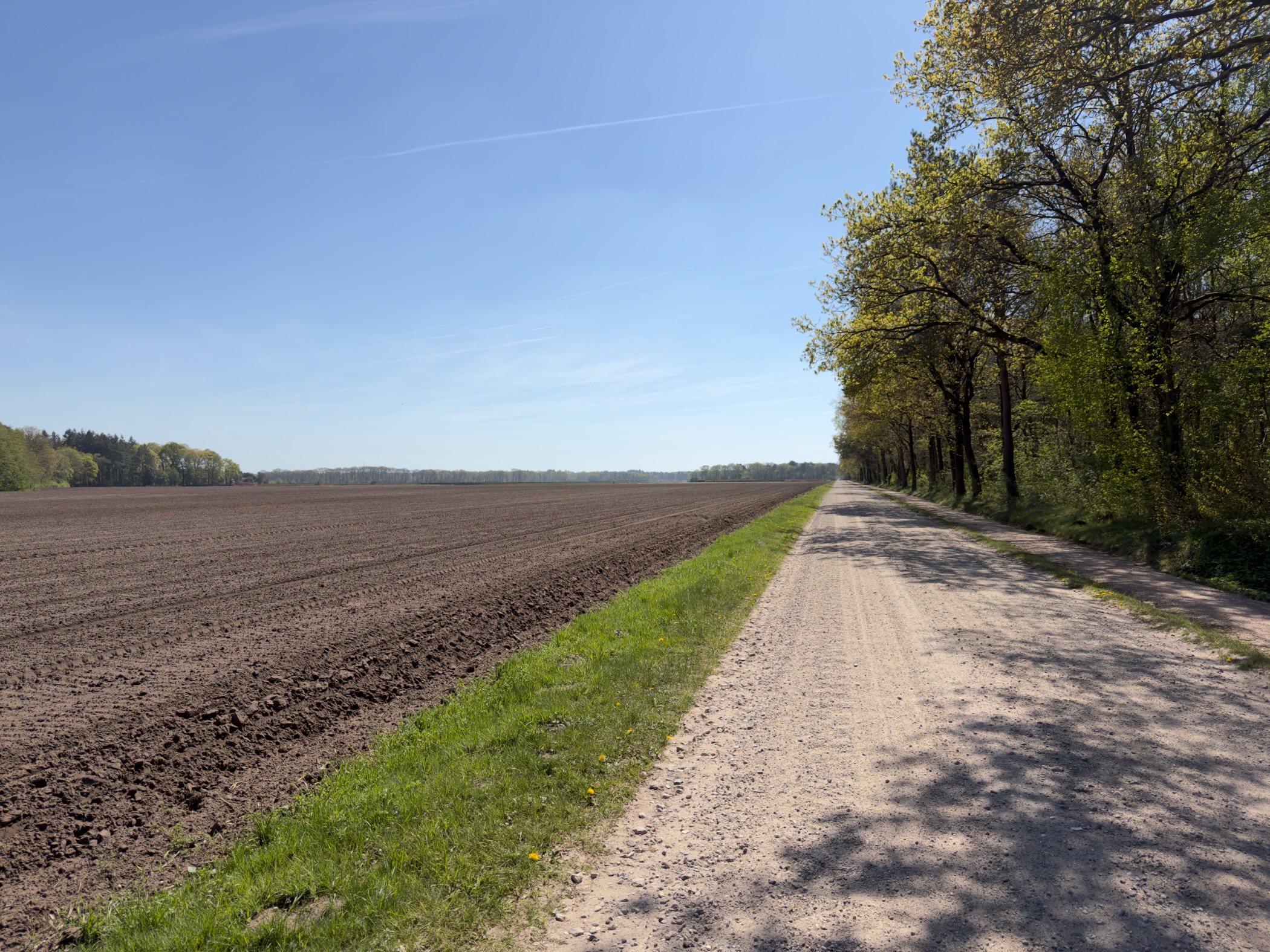 Gravel track beside a bare ploughed field with trees on the right