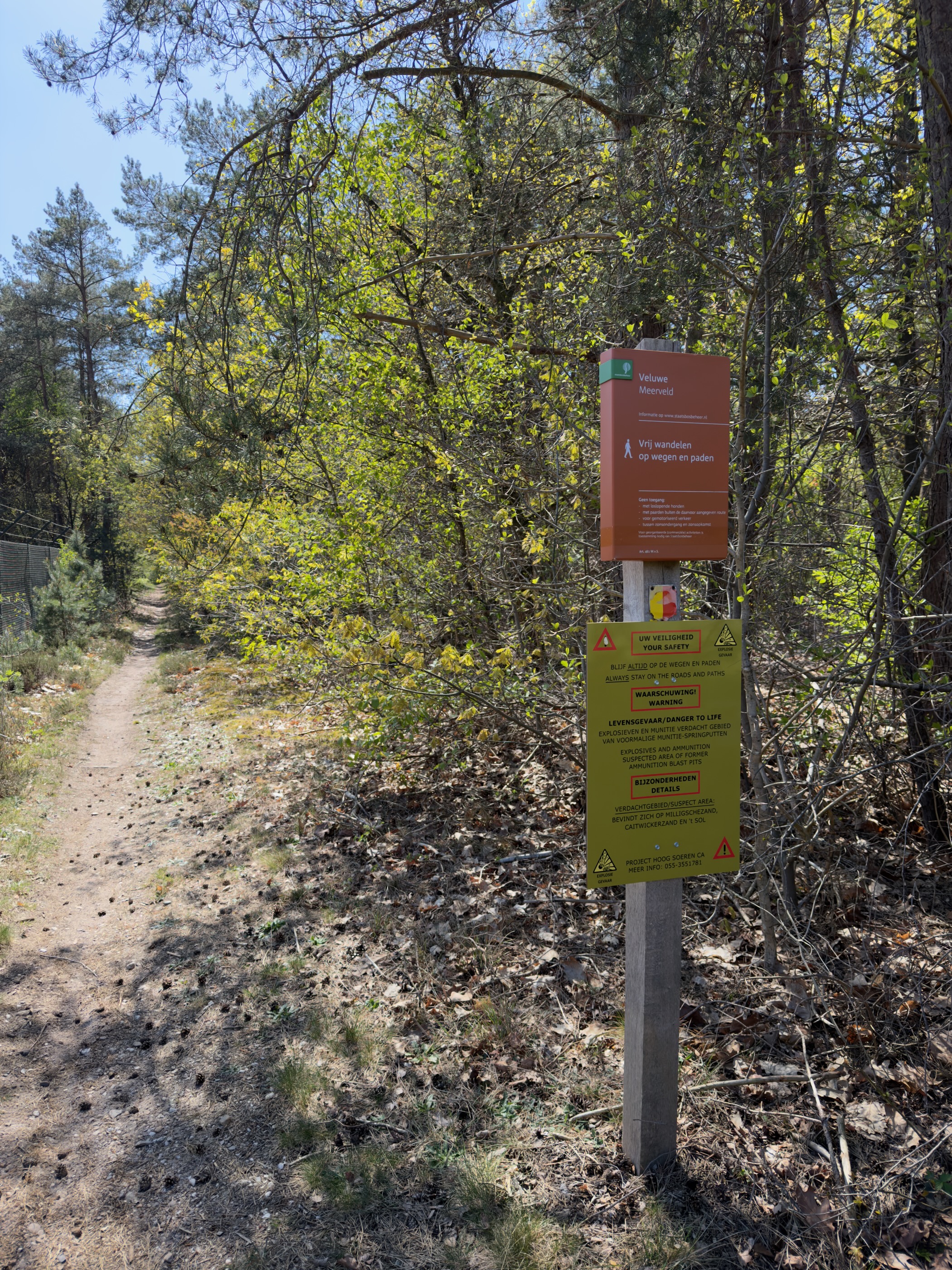 Trail sign board next to a narrow sandy path in a pine wood