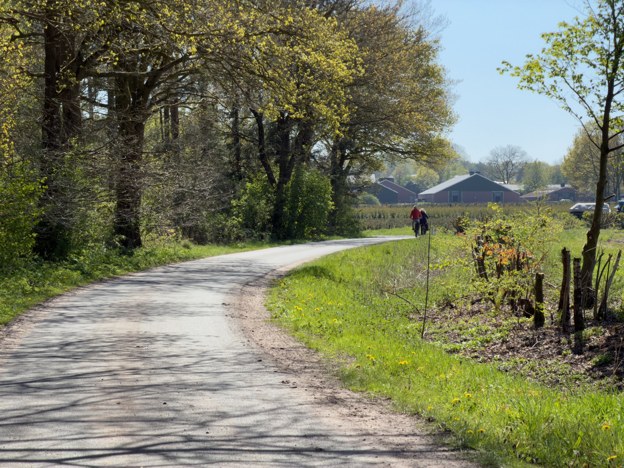 Quiet lane approaching a farm building with a walker ahead