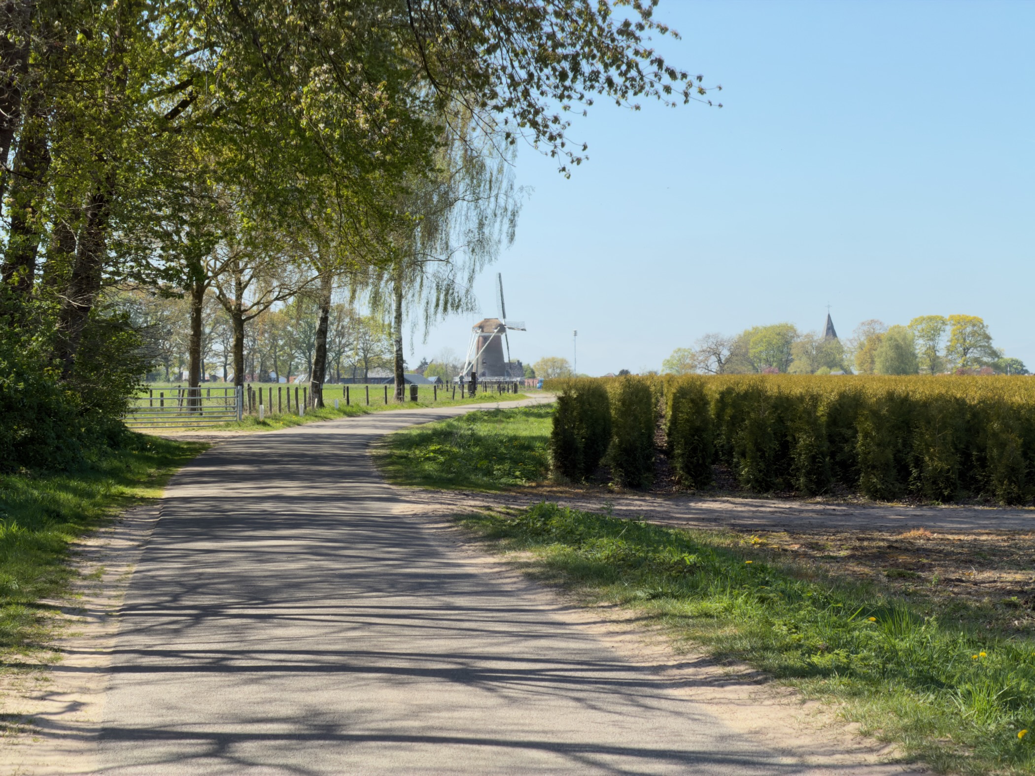 Lane leading towards a windmill and distant church tower