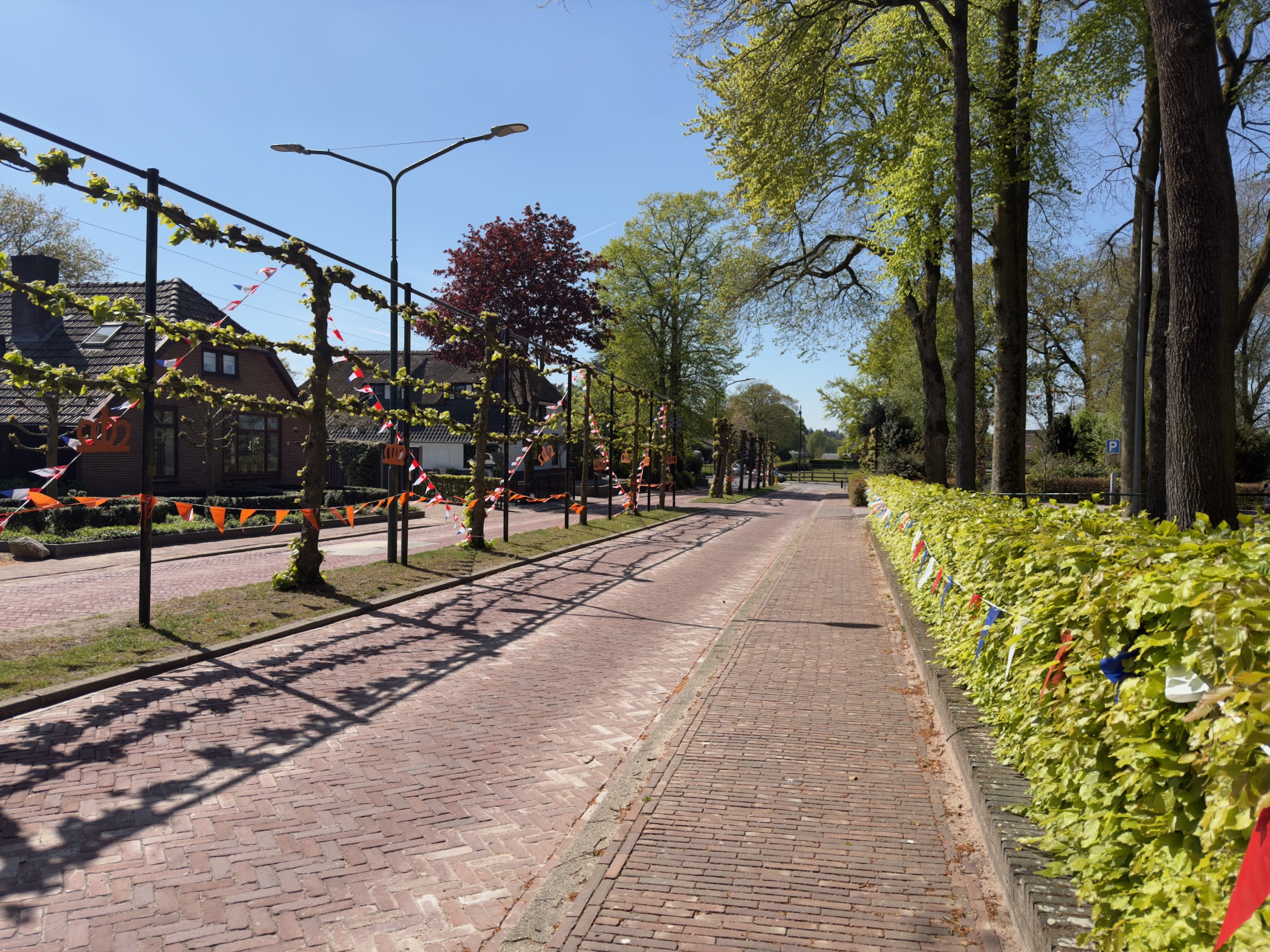 Tree-lined street in Garderen with orange flags