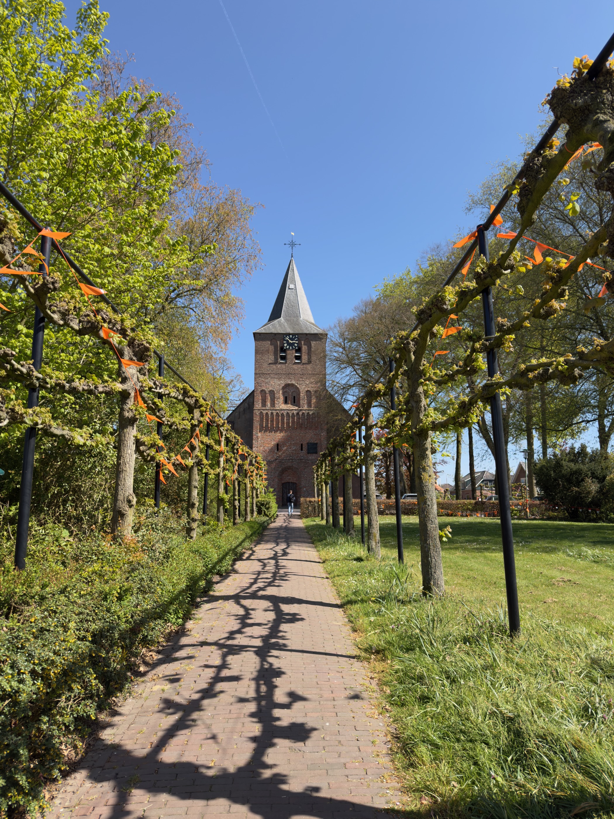Path between pruned trees leading to the church tower in Garderen