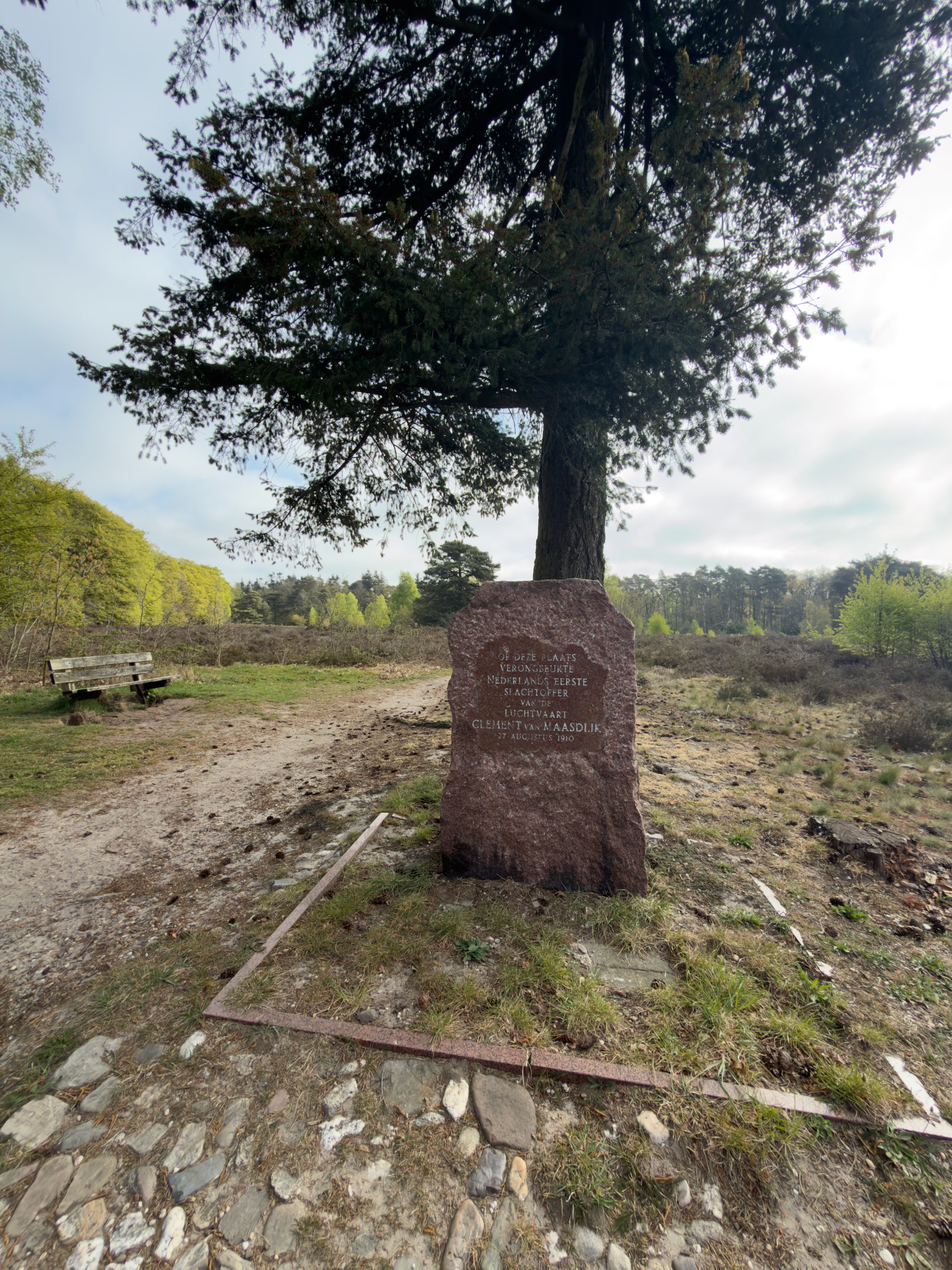 A memorial stone under a pine tree on the heath