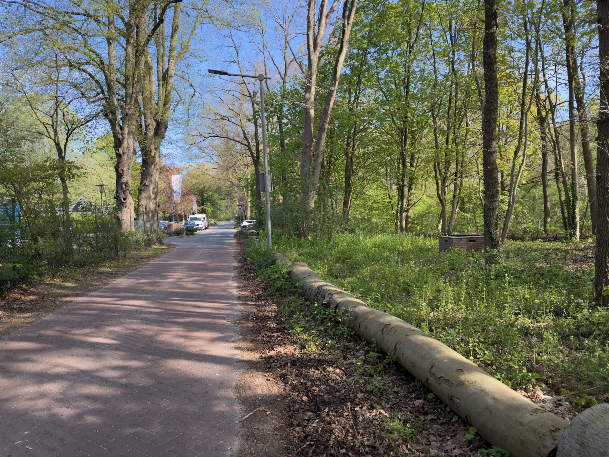 A paved cycle path with street lamps running between trees