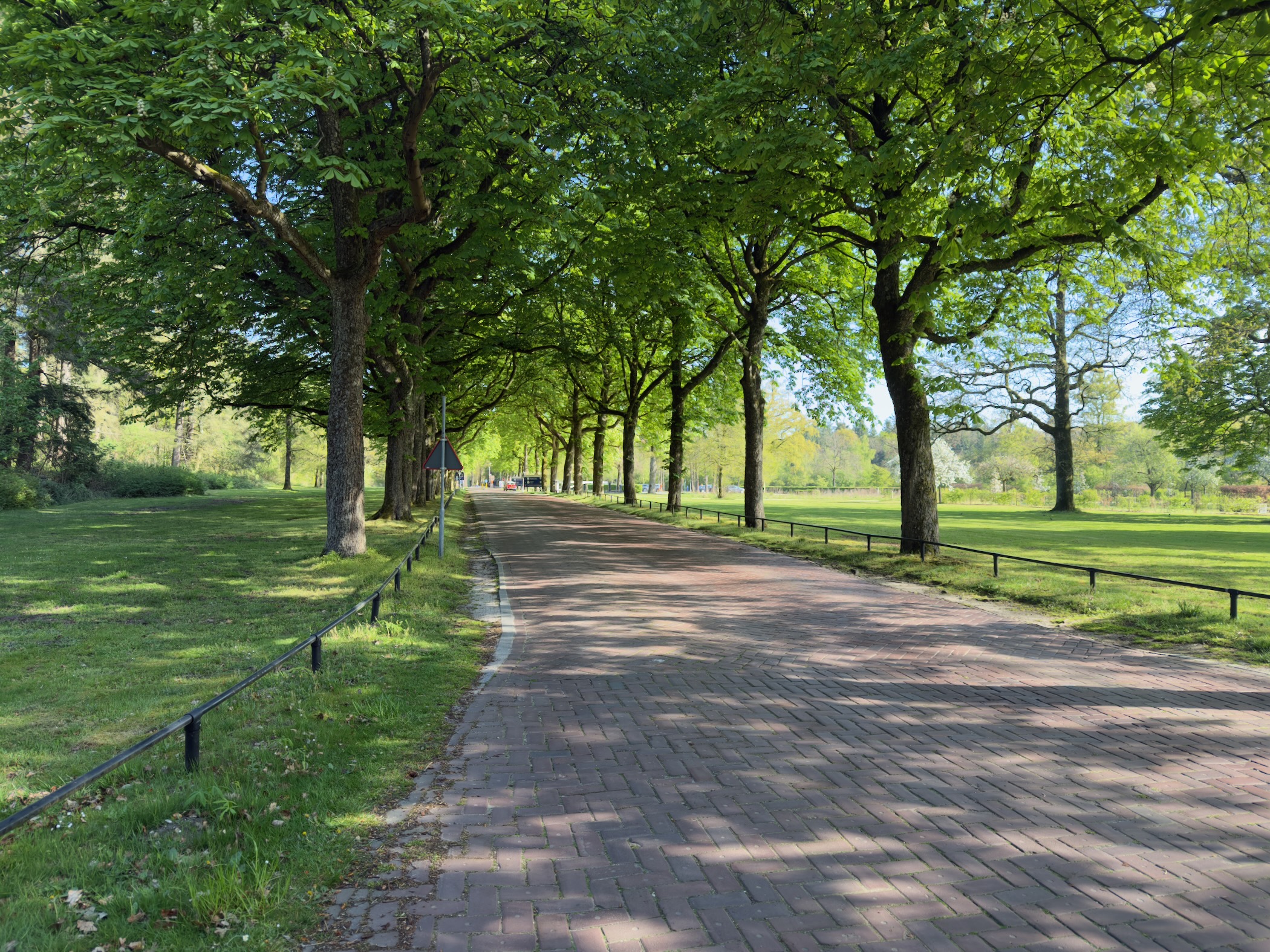 A wide brick road lined with tall trees and grass