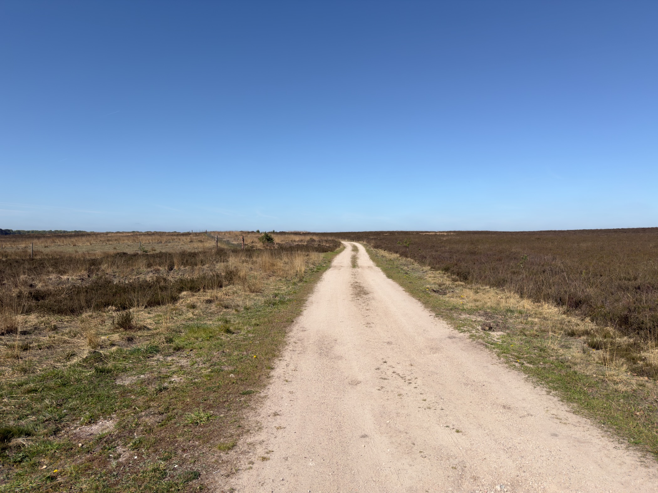 A sandy track stretching far across the heath