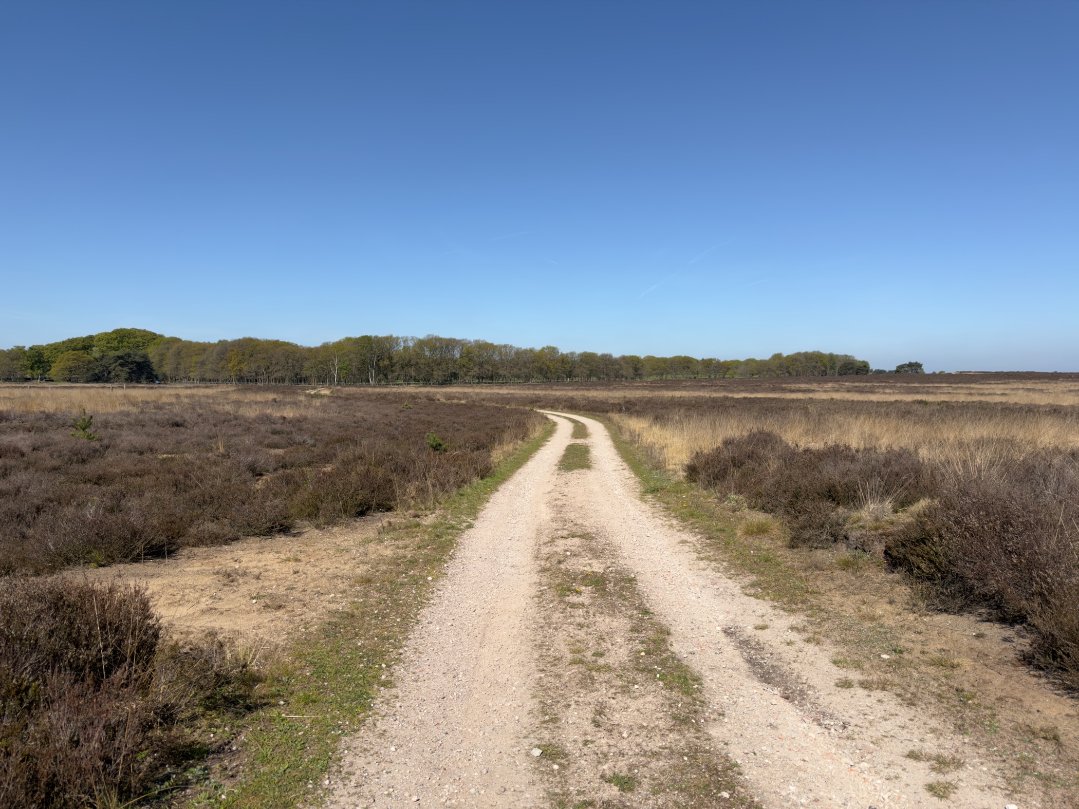 A sandy track curving through low brown heather