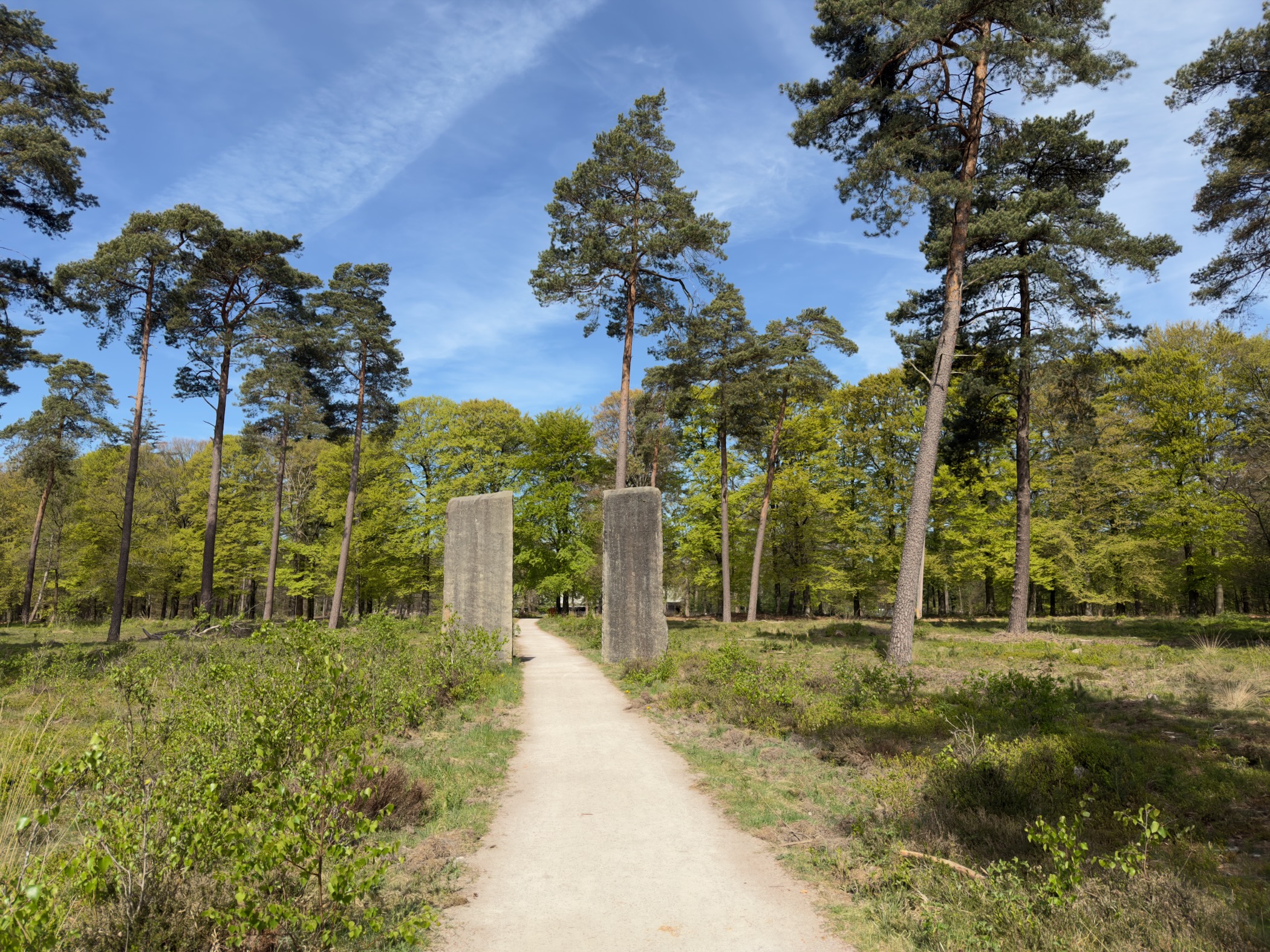 Two concrete pillars beside a sandy path through pine woods