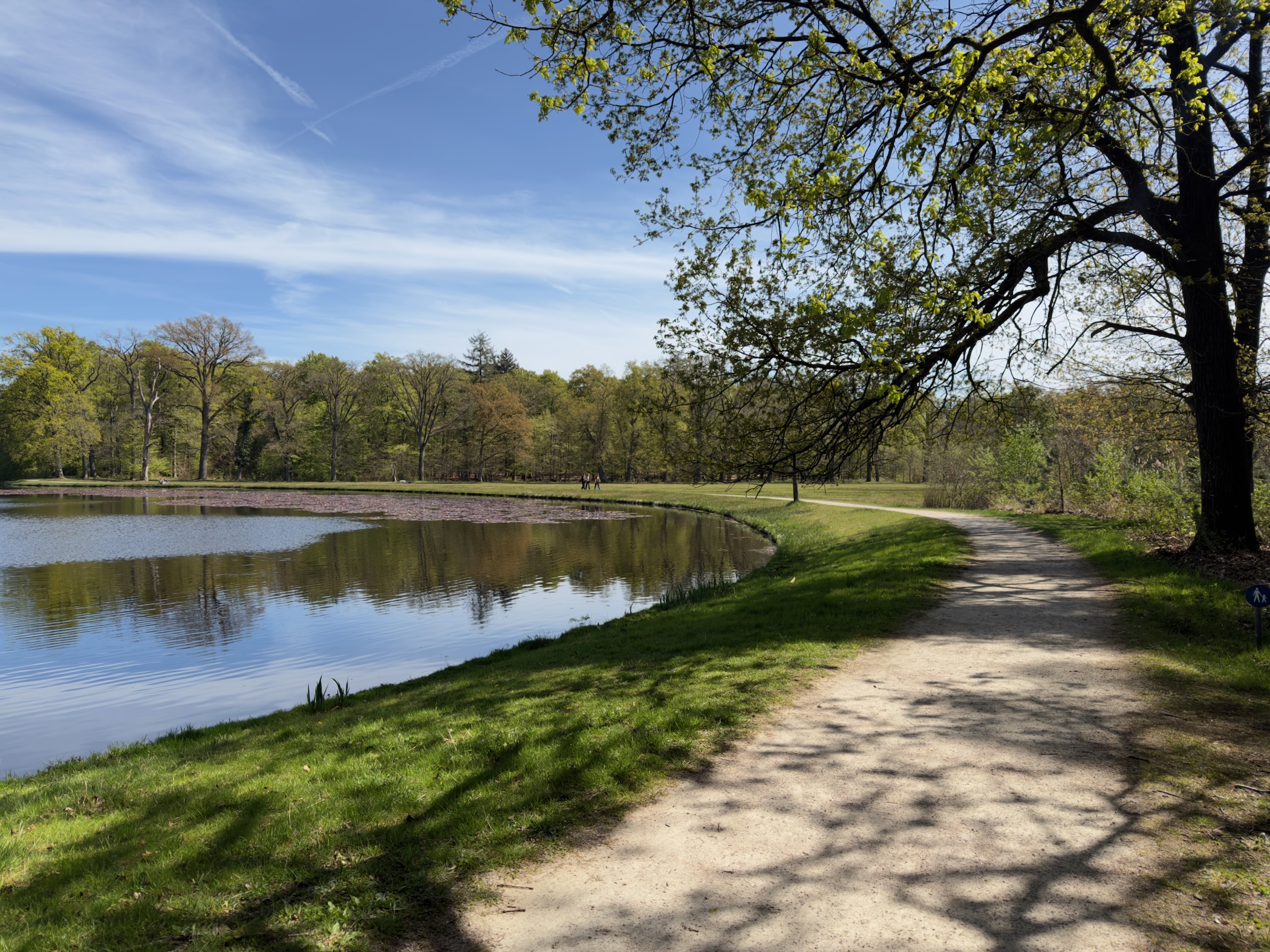 Pond beside a wide sandy path lined with grass and trees