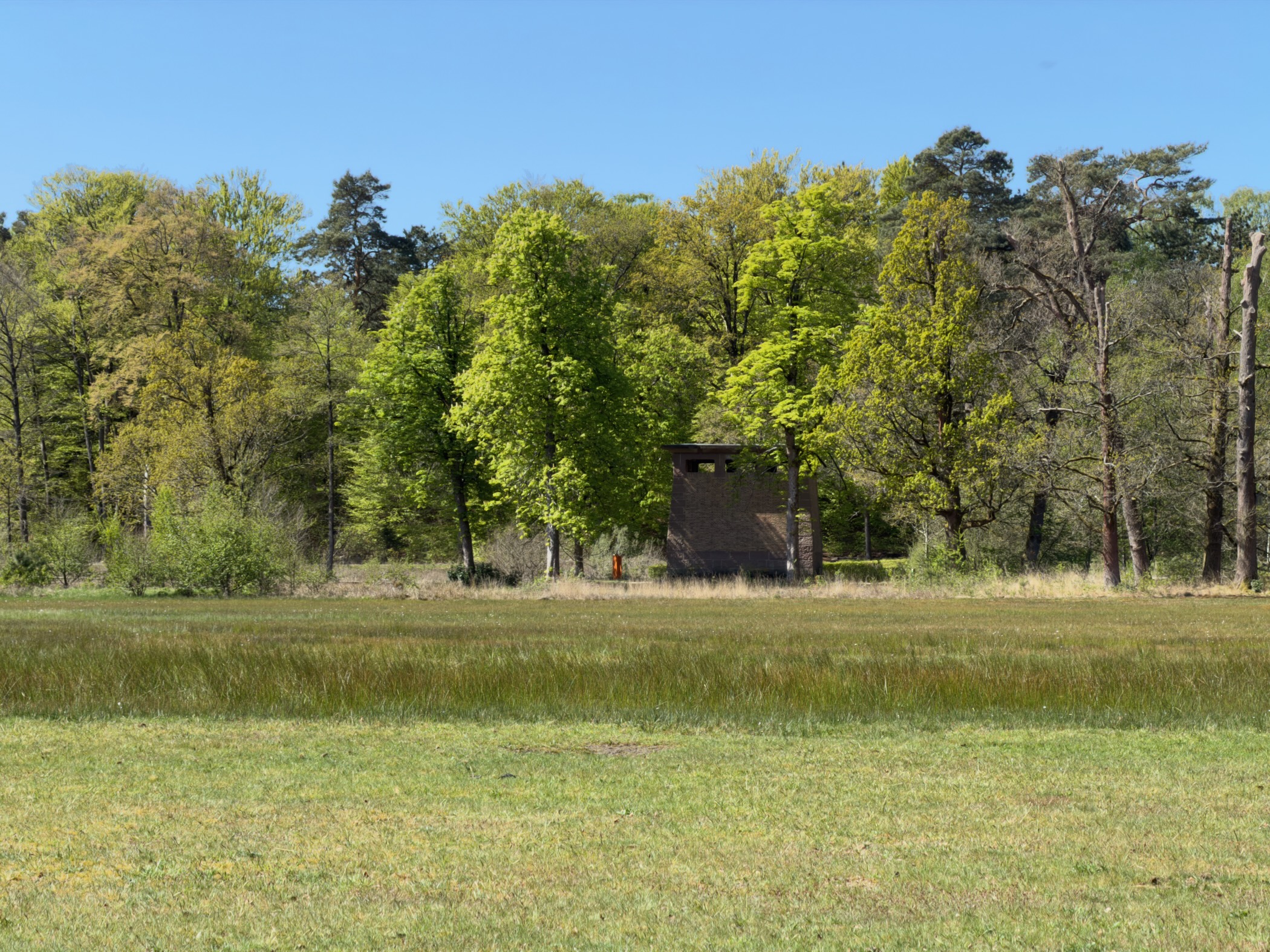 Wooden bird hide standing among trees beyond an open meadow