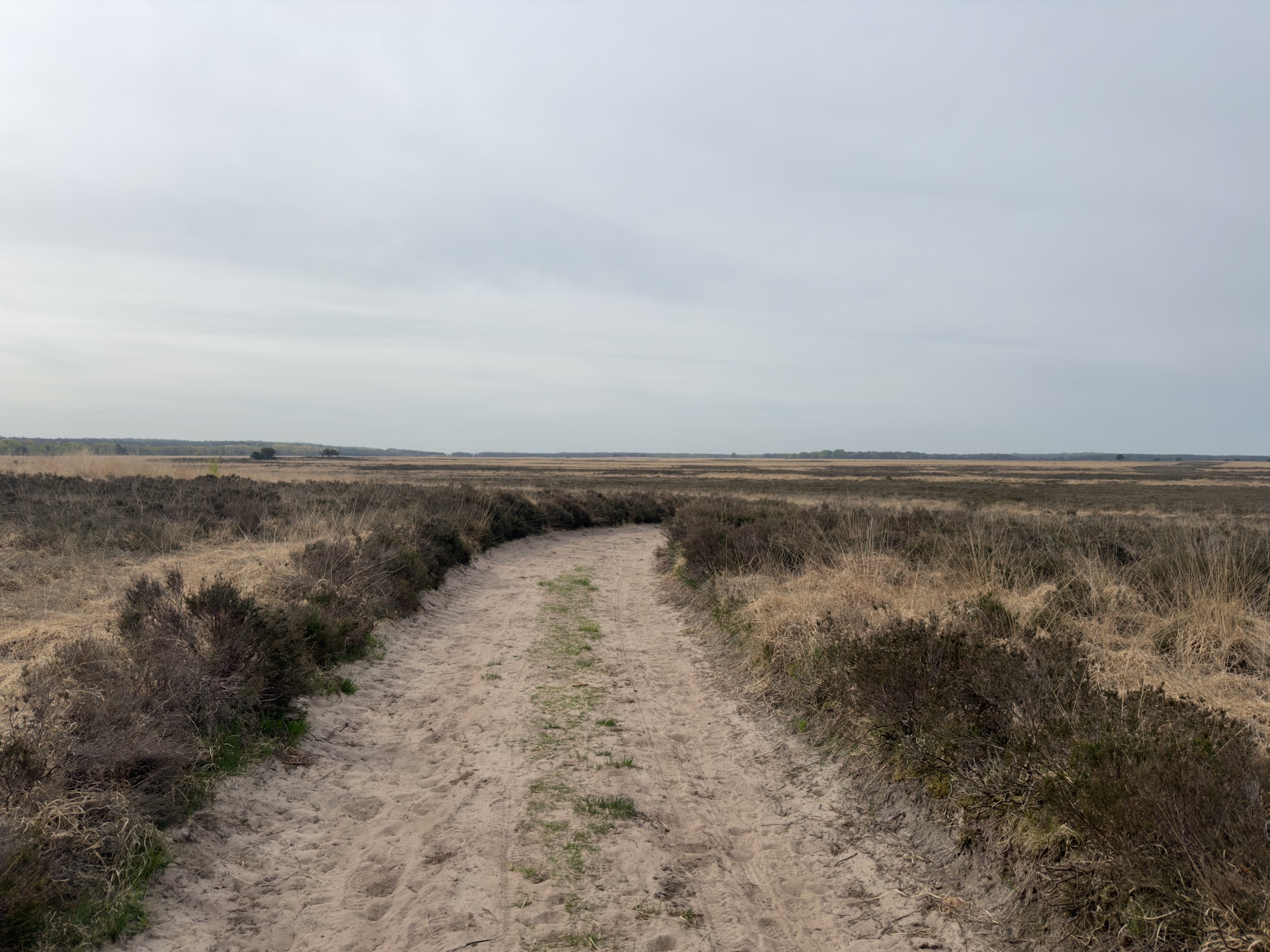 Wide sandy path crossing heath under a vast cloudy sky