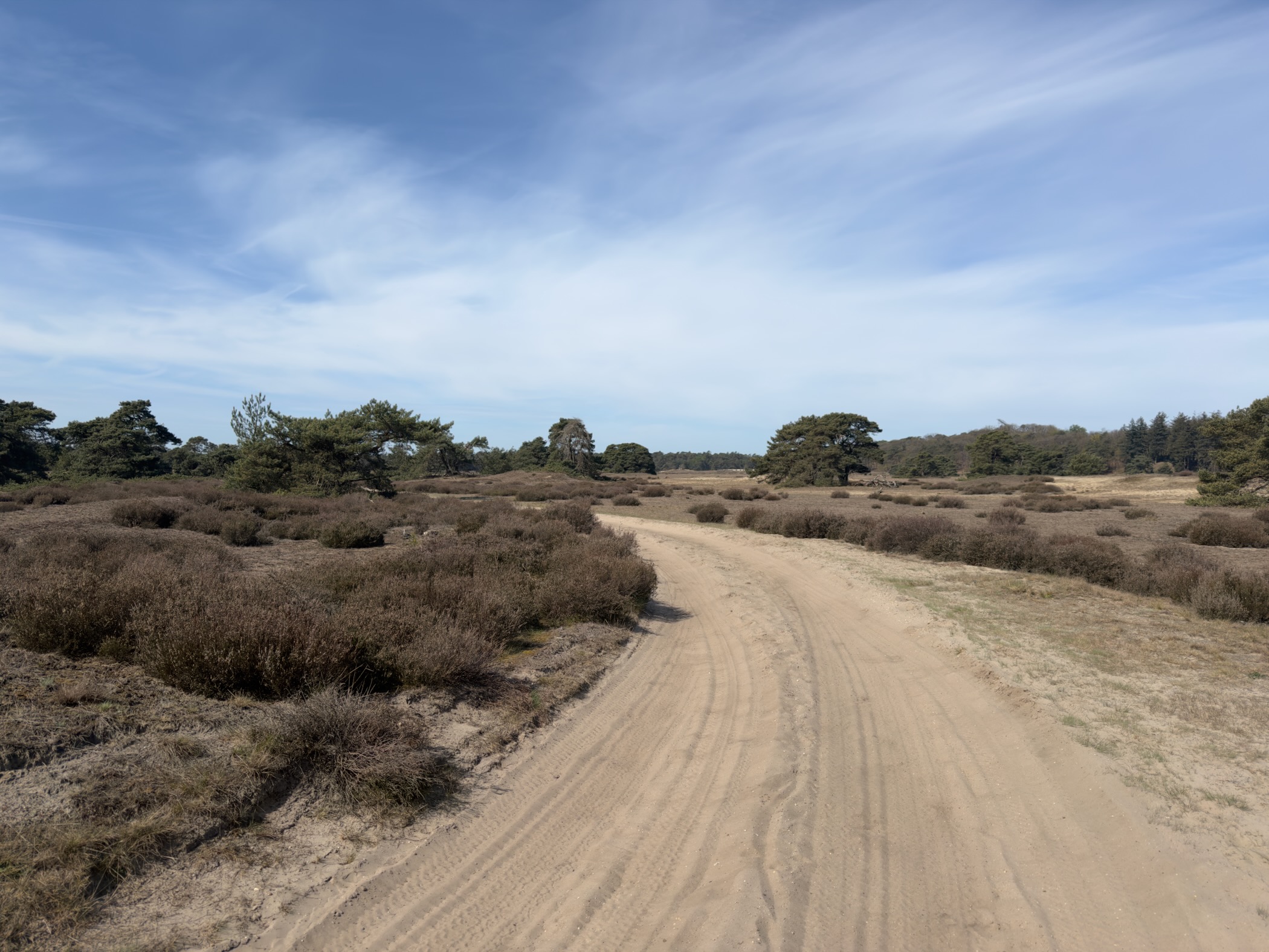 Wide sandy track curving through heath under a sky streaked with wispy clouds