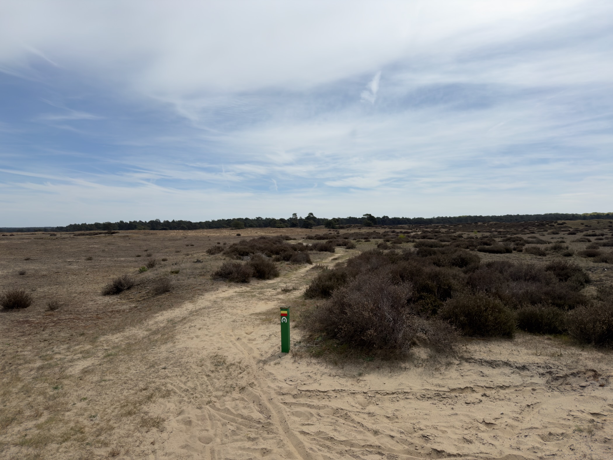 Heath path beside a green trail marker post under a vast sky