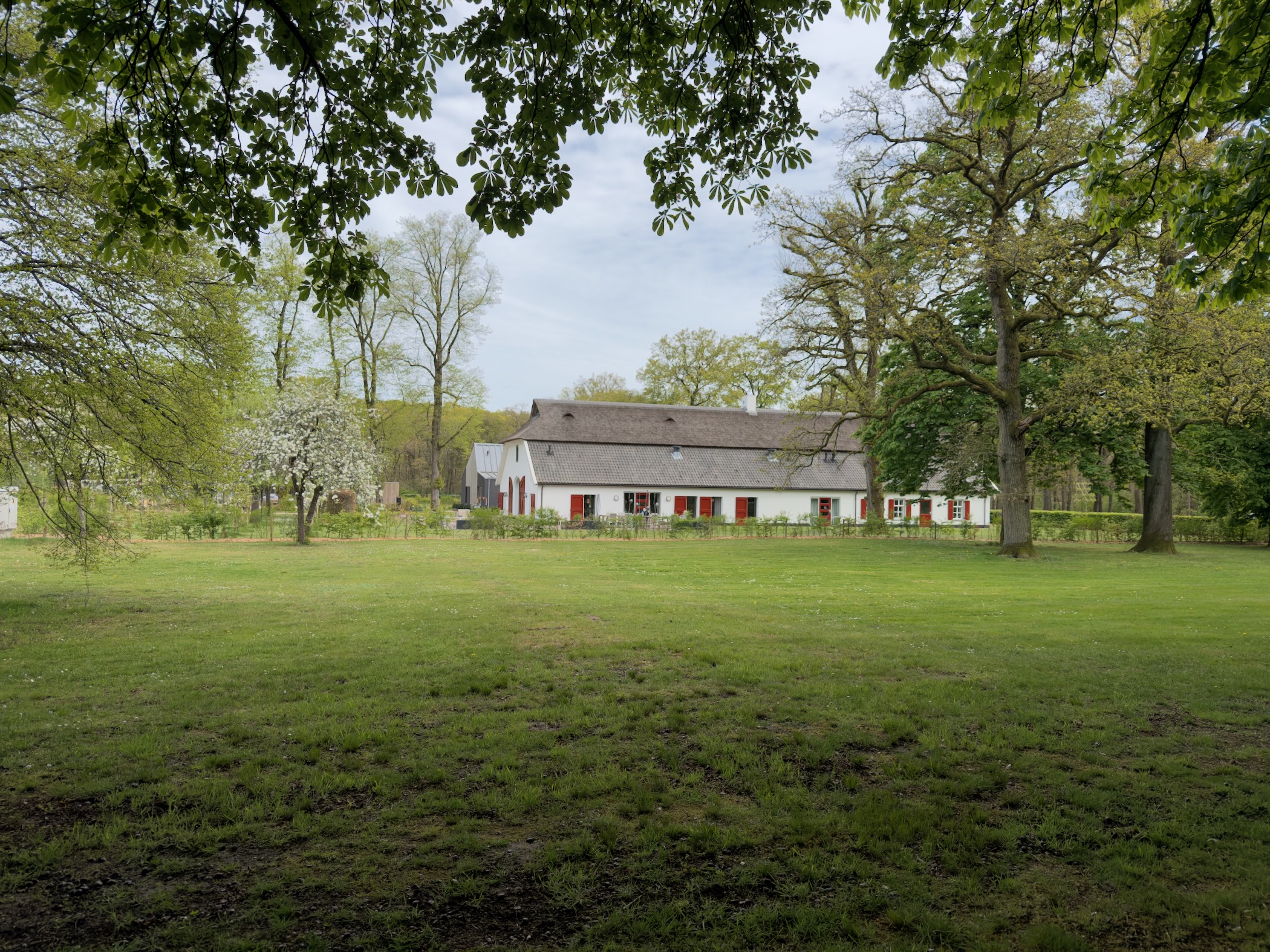 White farmhouse seen across a grass meadow framed by chestnut trees