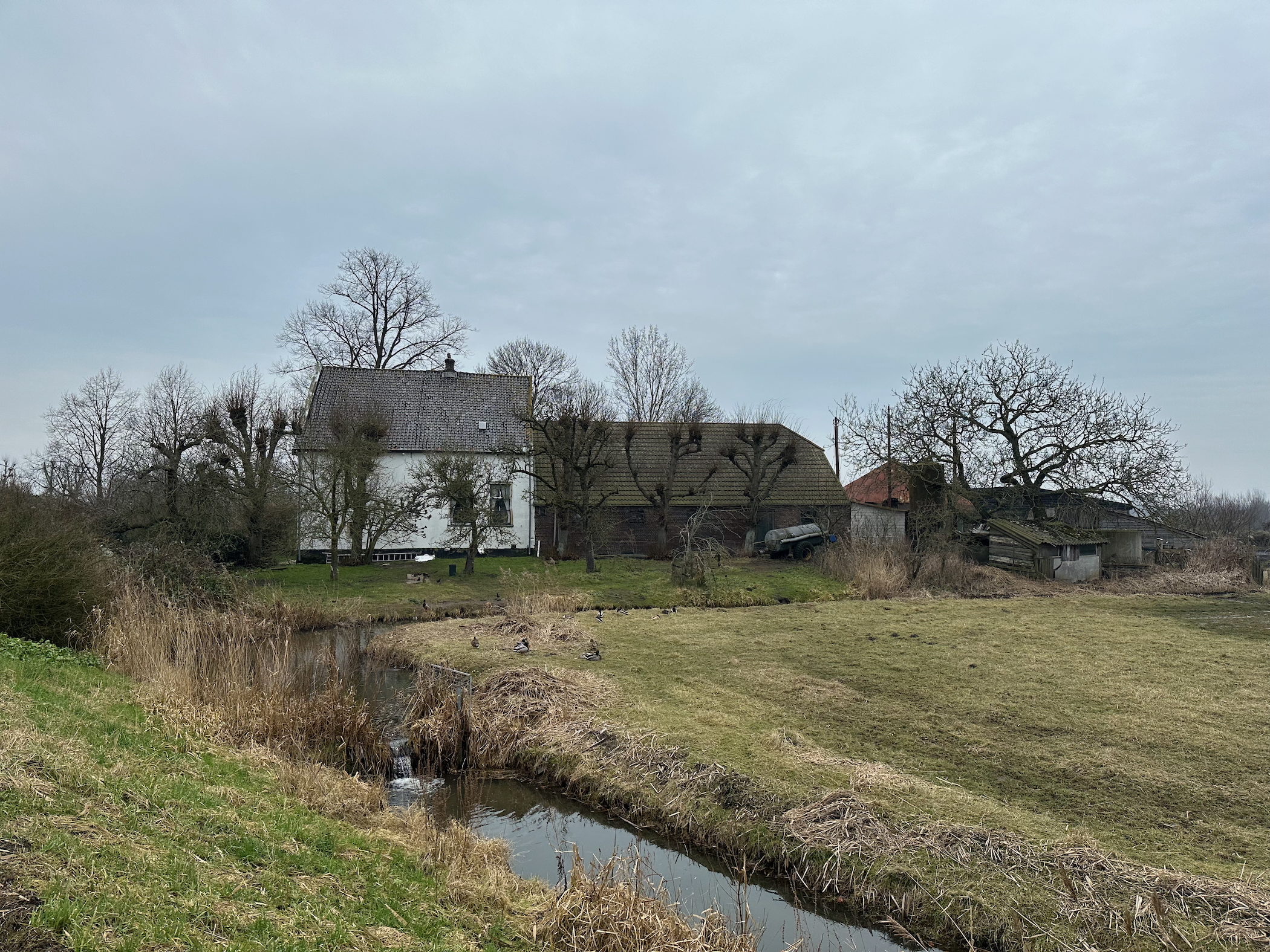 Description