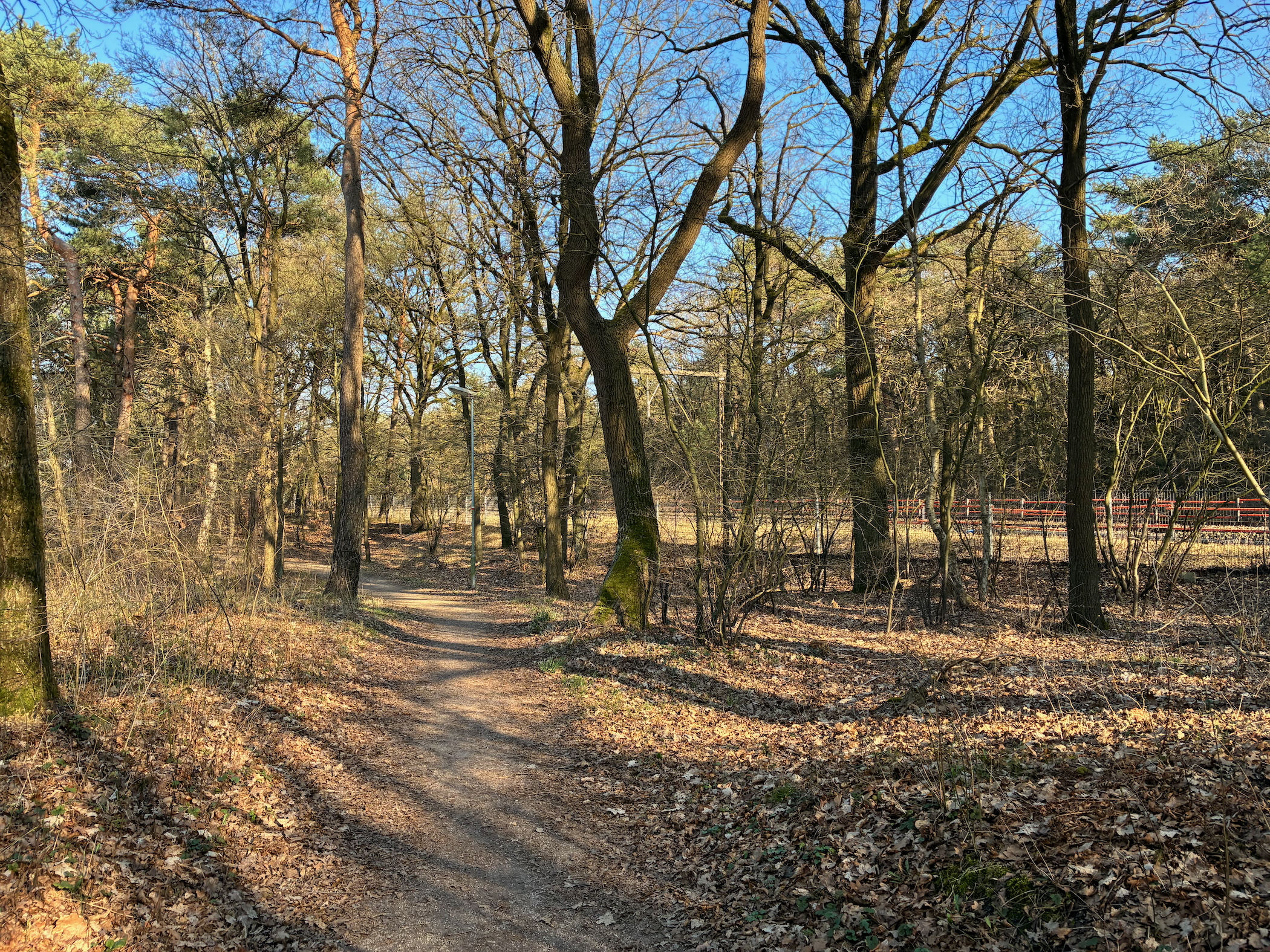 Description