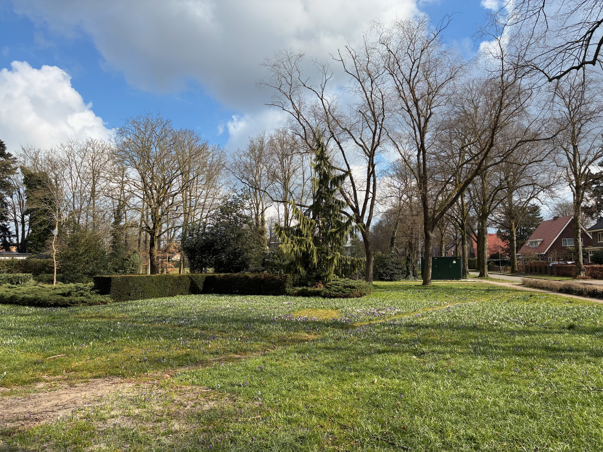 Description