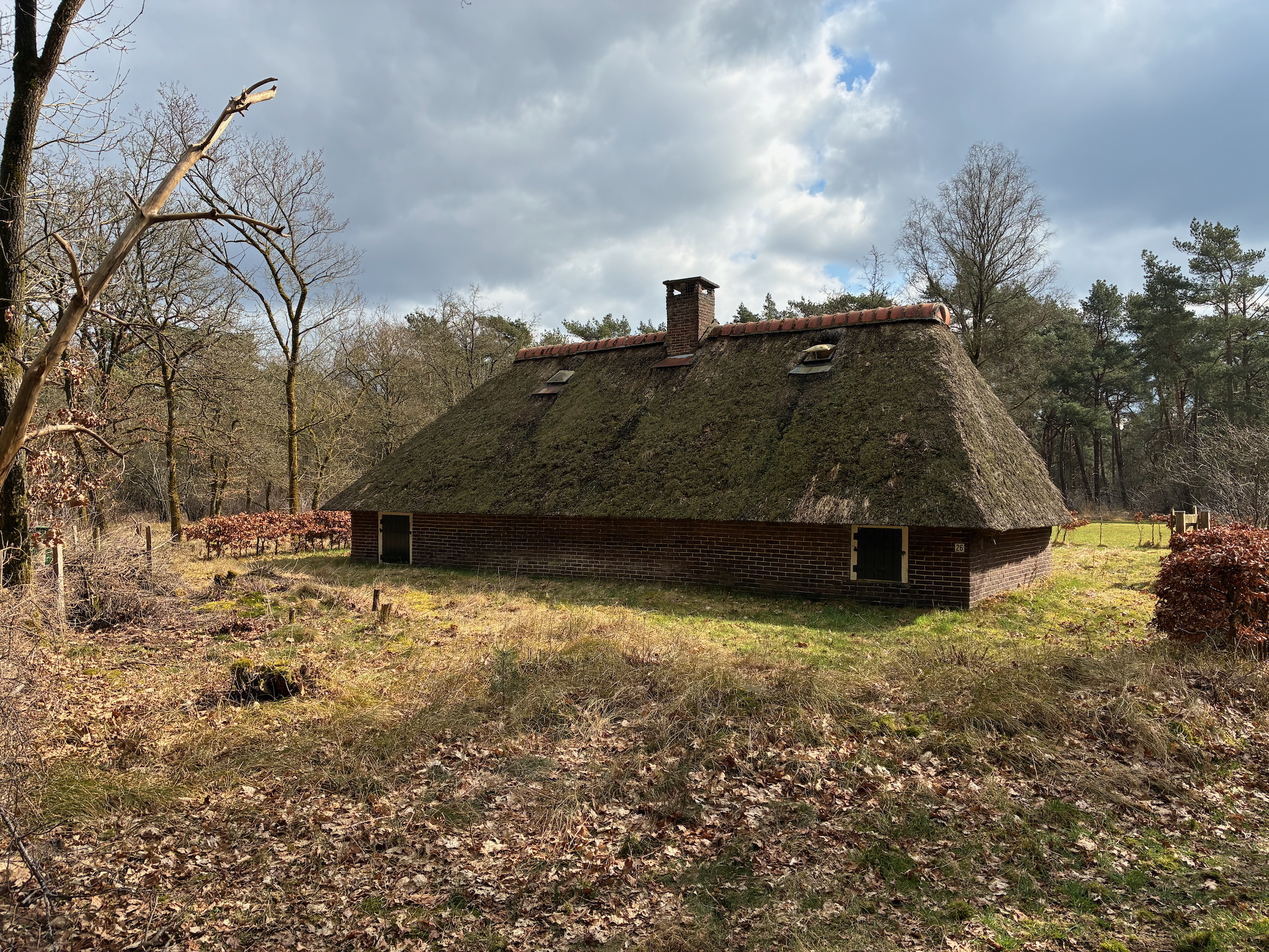 Description
