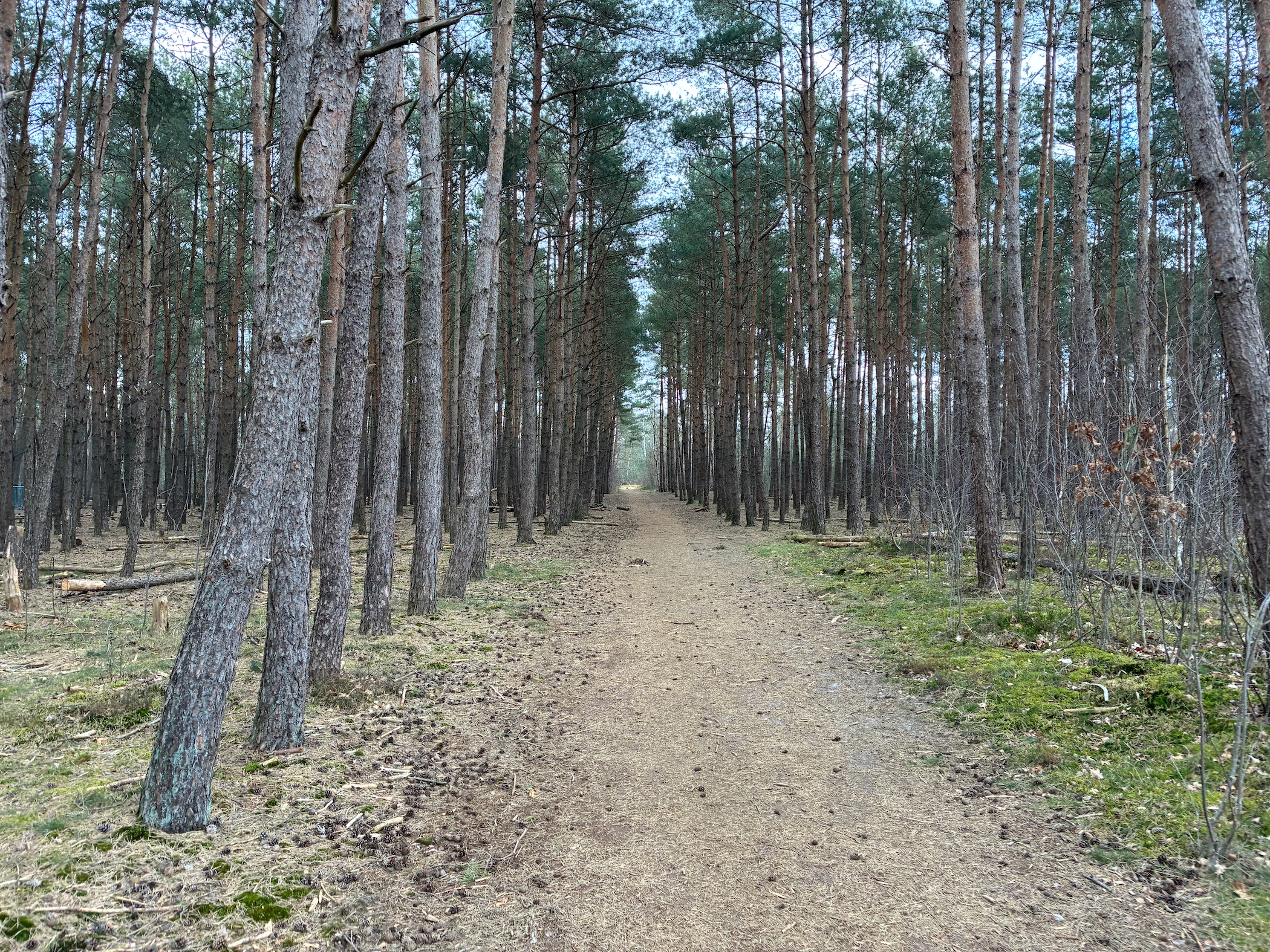 Description