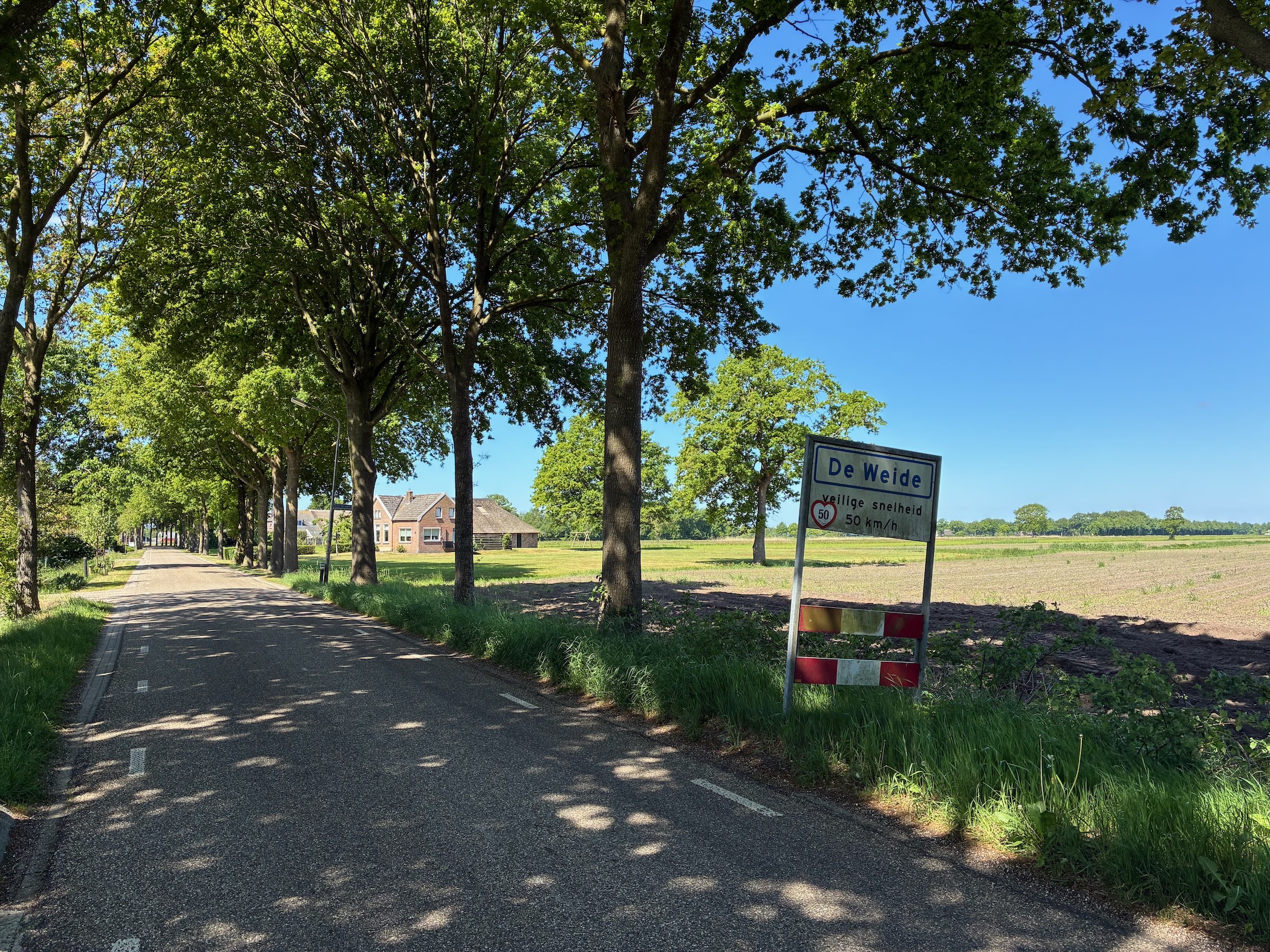 Description
