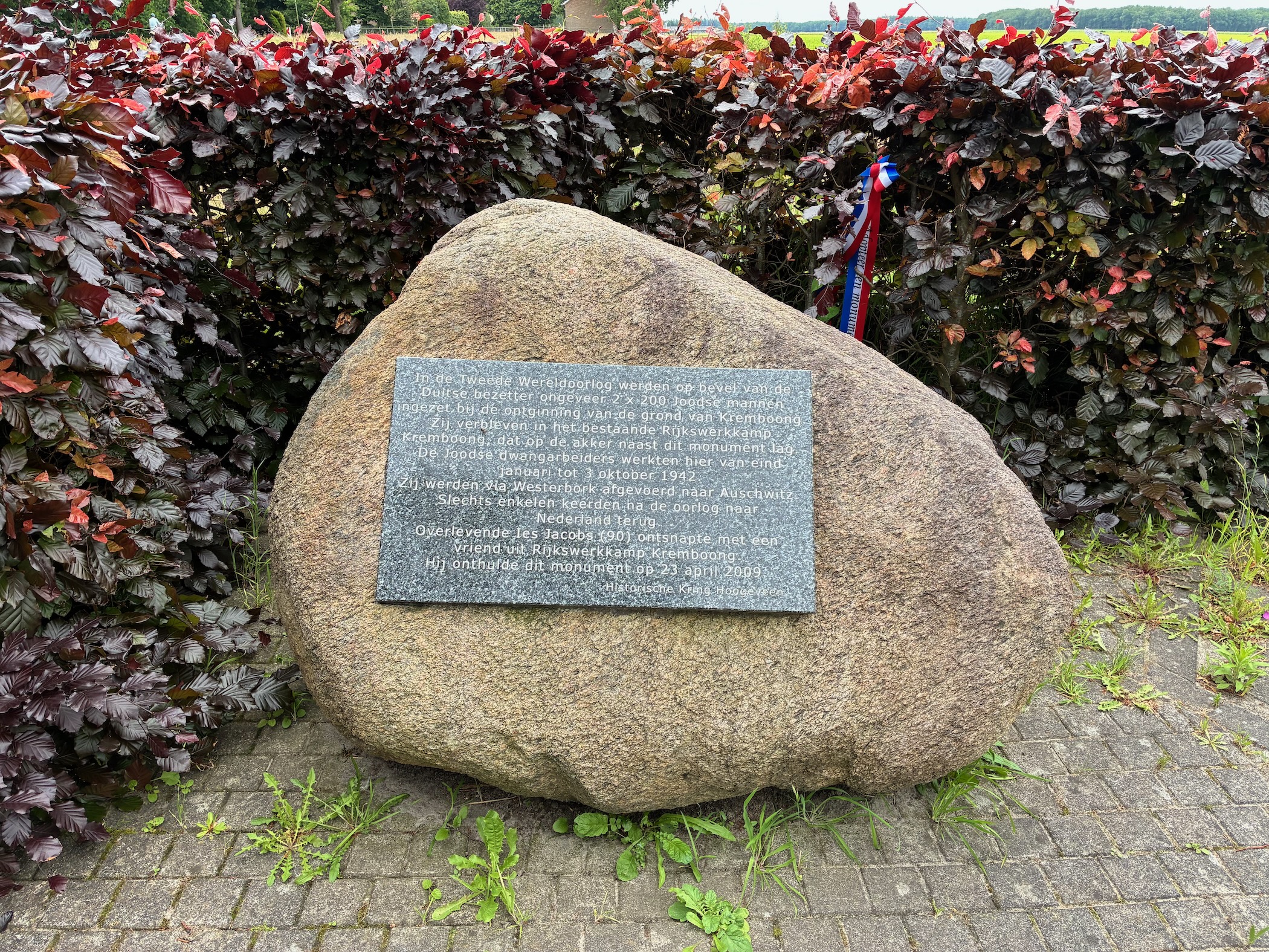 Description