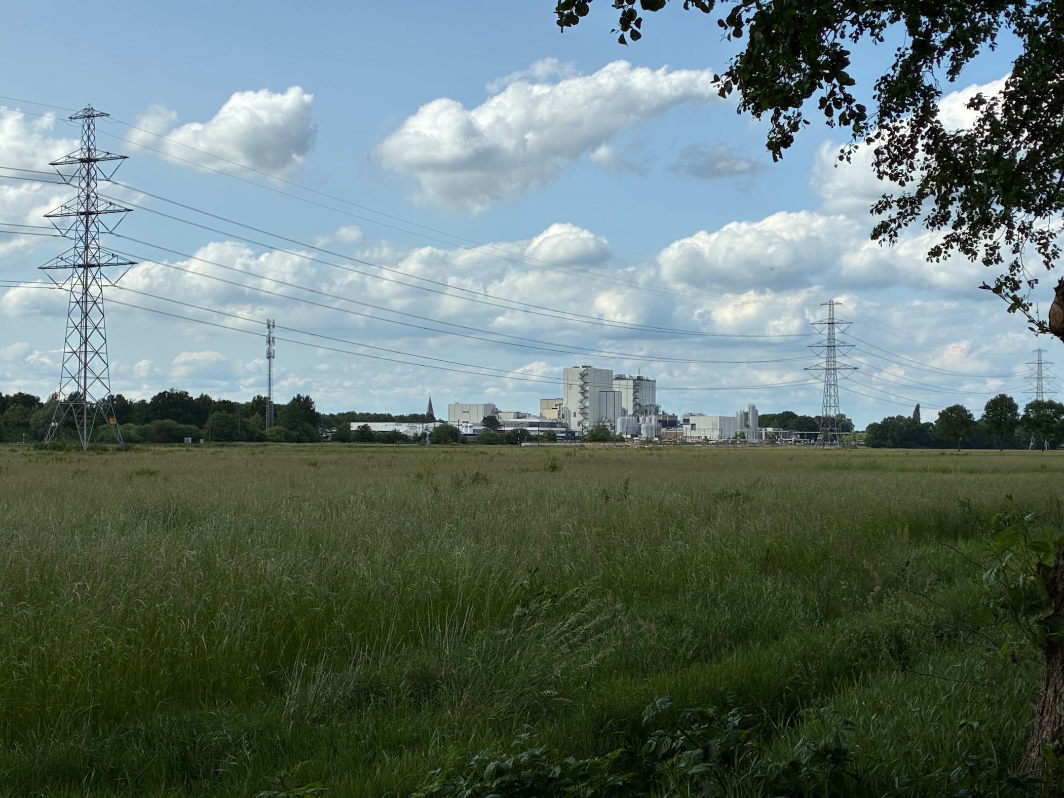 Description