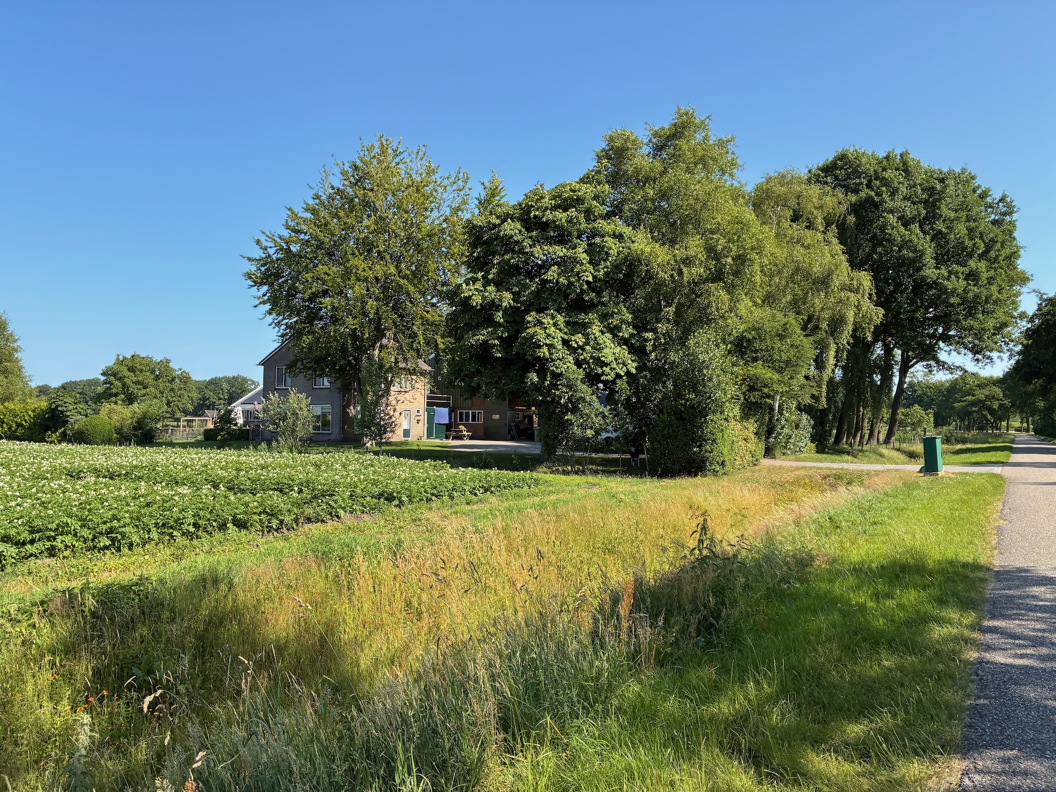 Description