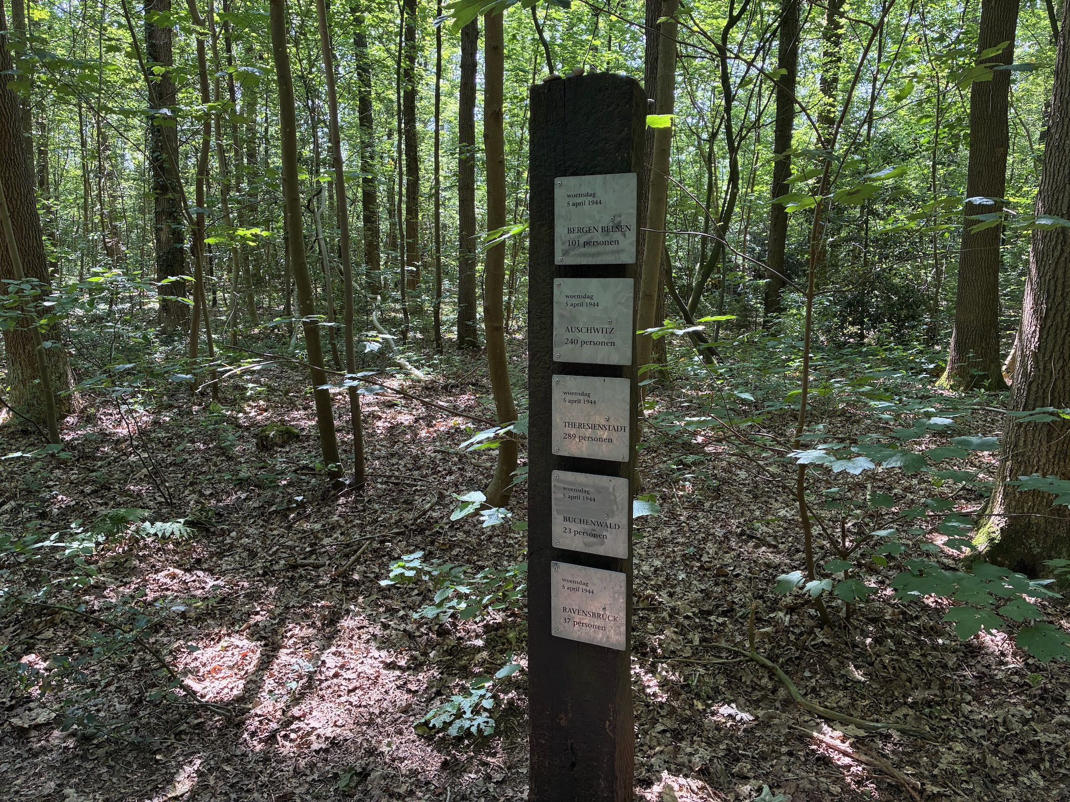 Description
