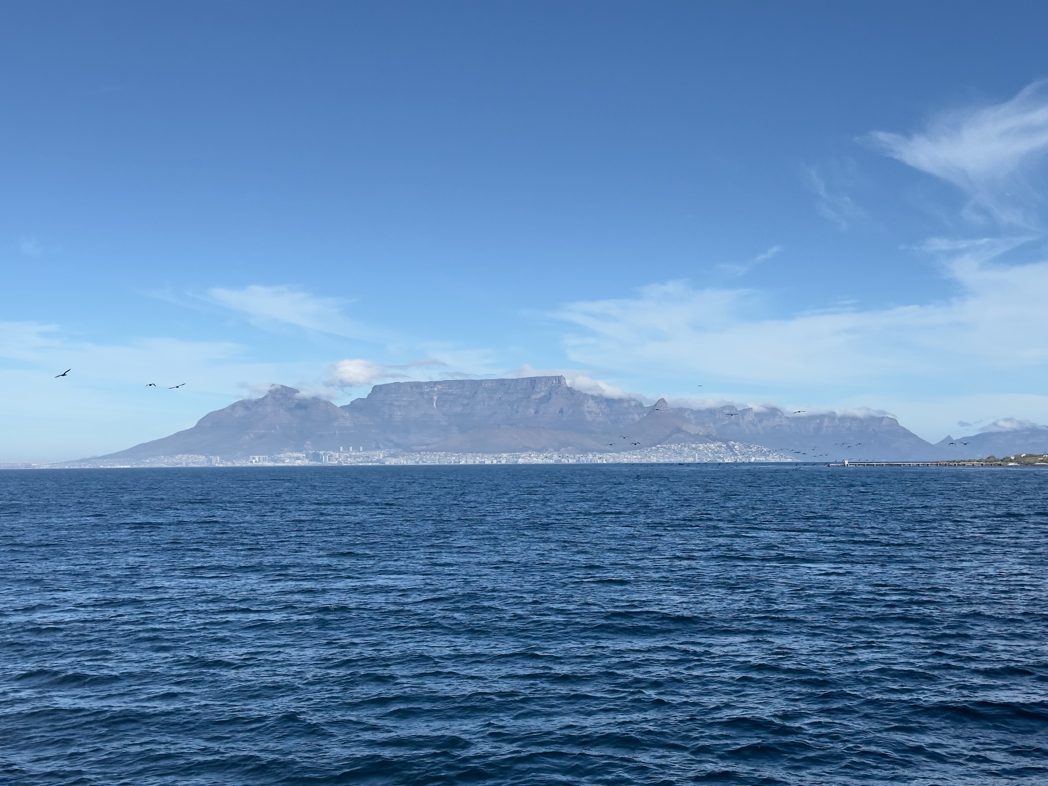 Description